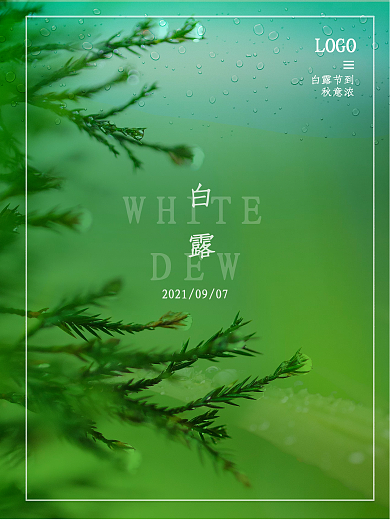 简约白露节气摄影图海报