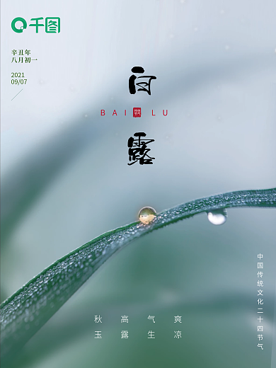 白露二十四节气秋天露水露珠水滴海报