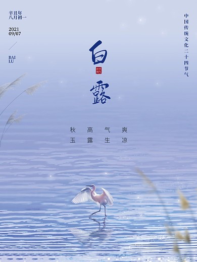 白露节气白鹭露水波纹二十四节气秋天海报