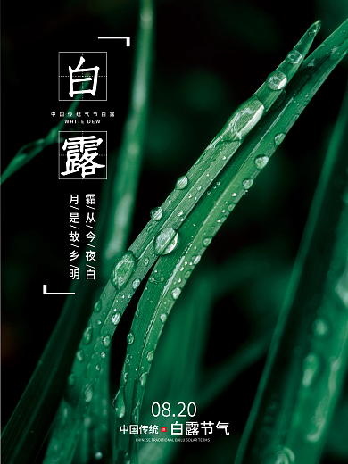 白露二十四节气摄影图库海报