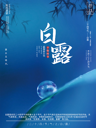 白露二十四节气摄影图露珠海报