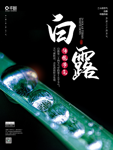 简约小清新白露节气摄影图海报