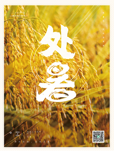 二十四节气之处暑稻田摄影海报