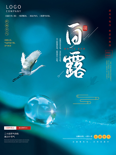 简约白露节气摄影图海报