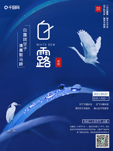 简约创意白露摄影图海报