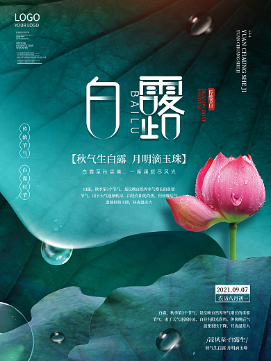 简约创意白露摄影图二十四节气传统节日海报