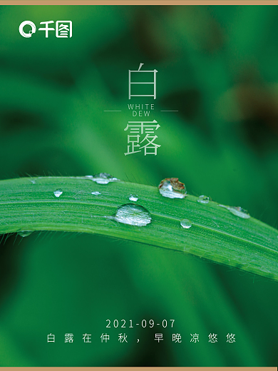 简约清新白露24节气海报展板