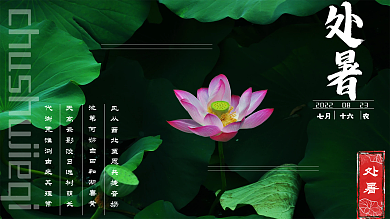 二十四节气处暑海报
