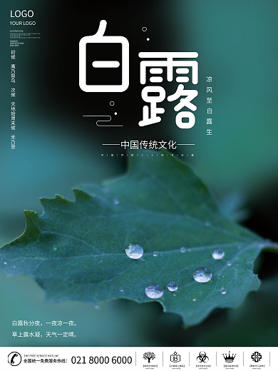 简约白露节气摄影图海报