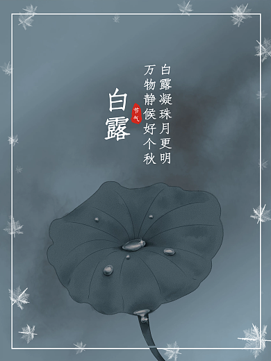 简约留白意境白露节气海报