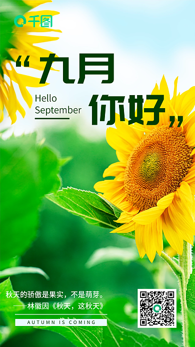 九月秋天向日葵励志日签