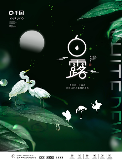 简约创意白露摄影图海报