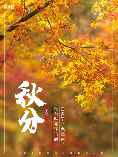 秋天黄色枫叶拍摄红色海报秋分节气秋天秋节