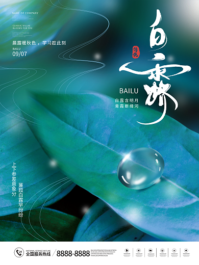 简约留白意境白露节气海报