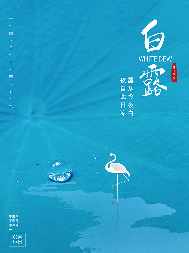 大气简约白鹭意境白露传统24节气秋天海报