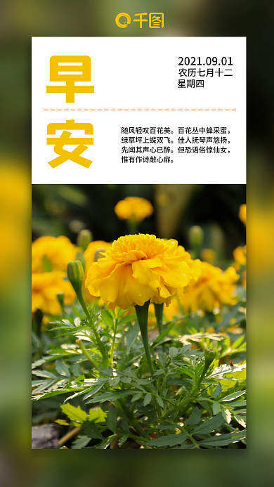 日签小清新情感语录手机海报