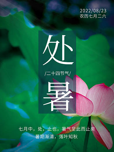 二十四节气处暑宣传海报