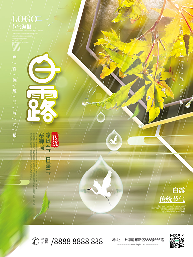 简约创意白露摄影图海报