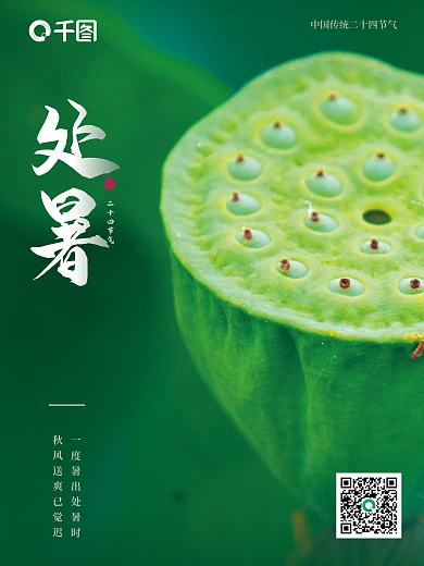 简约处暑节日摄影图二十四节气海报