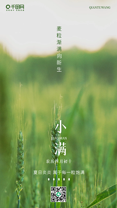 简约小满气节摄影图手机海报