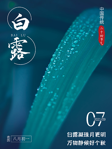 简约文艺白露节气摄影海报竖版