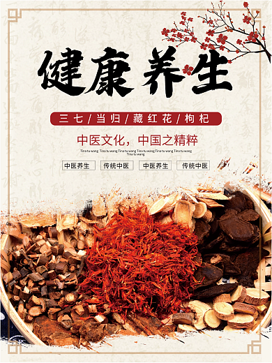 中国风中医调整健康养生海报