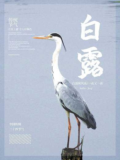 二十四节气白露节气湖泊简约海报