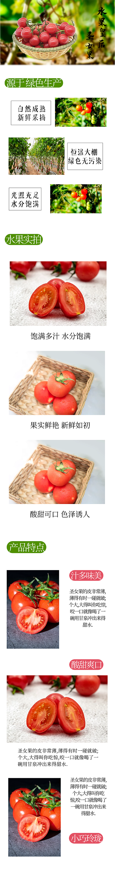 水果皇后 圣女果