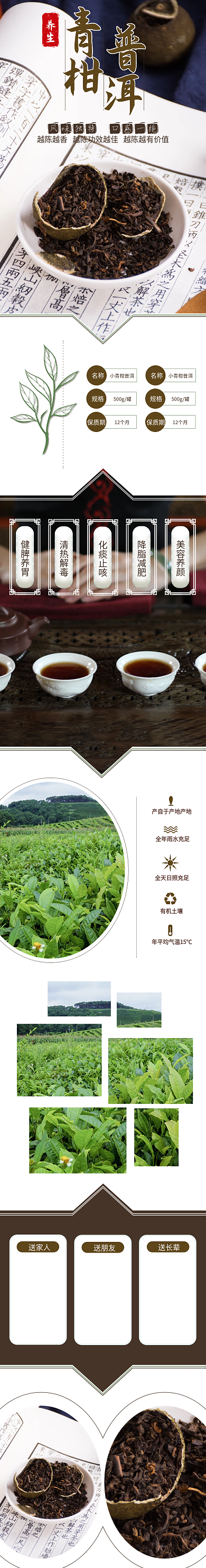 小青柑普洱茶叶绿色养生中国风详情页简约