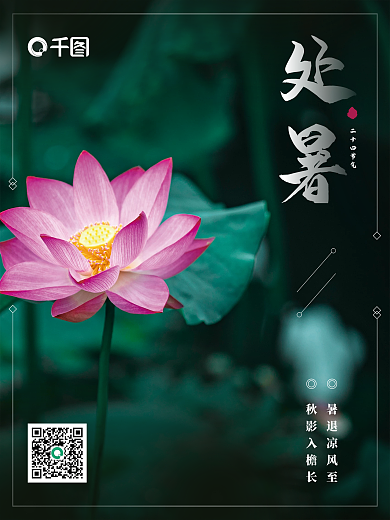 简约处暑节日摄影图二十四节气海报