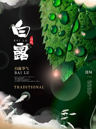 传统简约创意白露摄影图海报