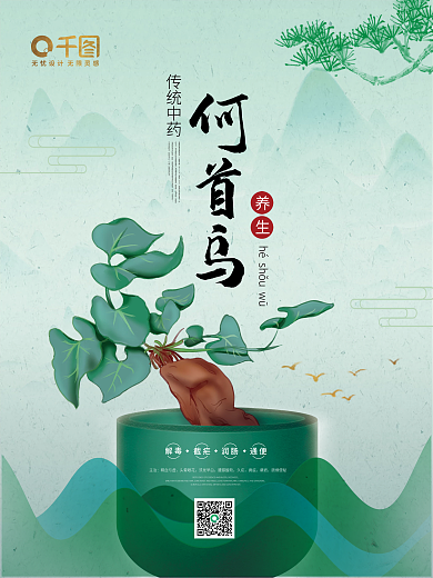 中国风系列套图海报何首乌