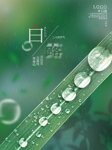 凉风至白露降意境白露节气海报大气简约
