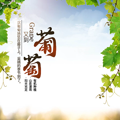 小清新葡萄水果电商主图