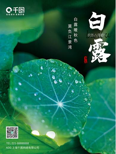 简约小清新白露节气海报02