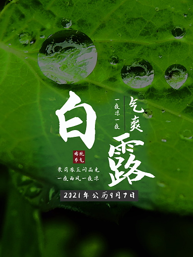 创意合成简约白露节气摄影图海报