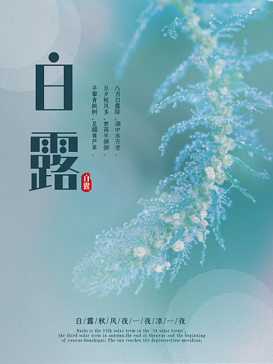 白露二十四节气秋天秋季绿色树枝