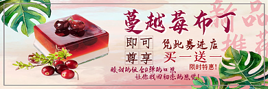 蔓越莓布丁优惠券