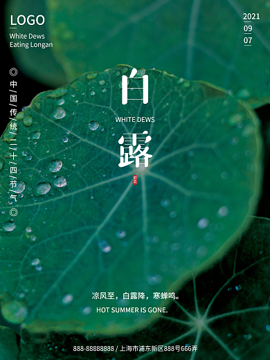 简约露珠荷叶白露节气节日海报