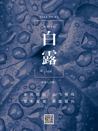 白露简约二十四节气海报