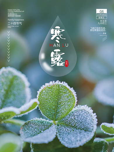 简约二十四节气寒露节日海报