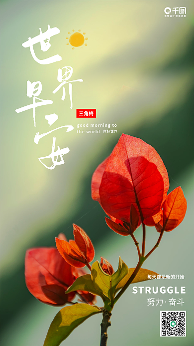 简约早安三角梅每日一签手机营销图