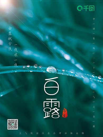 二十四节气白露中国传统文化实拍风简约留白