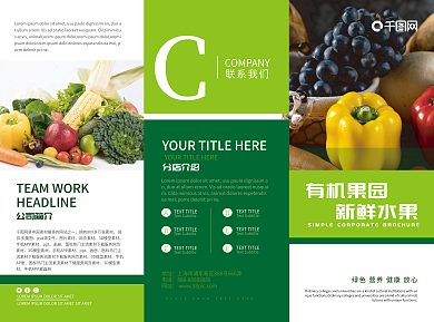 有机水果三折页、果蔬折页、庄园折页
