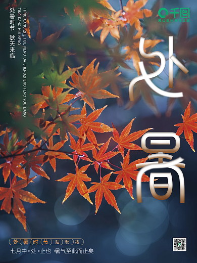 处暑节气简约摄影海报