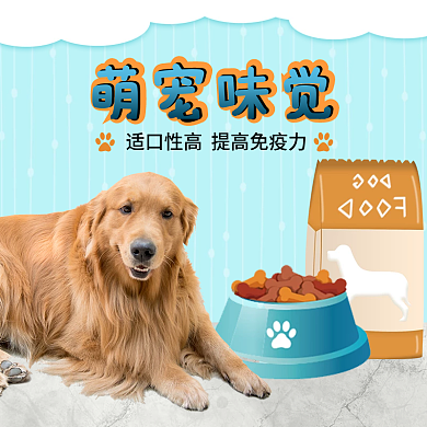 电商淘宝天猫宠物猫狗粮通用简约主图模板