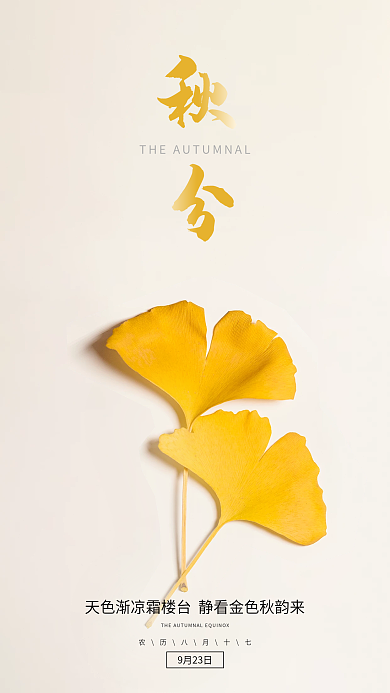 秋分传统24节气秋天叶子银杏手机广告海报
