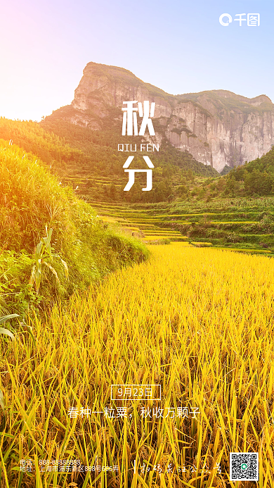 金黄色丰收秋分节气手机海报