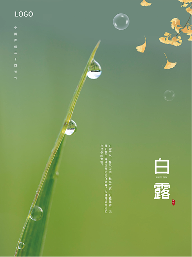 白露露水雨水谷雨简约节气海报
