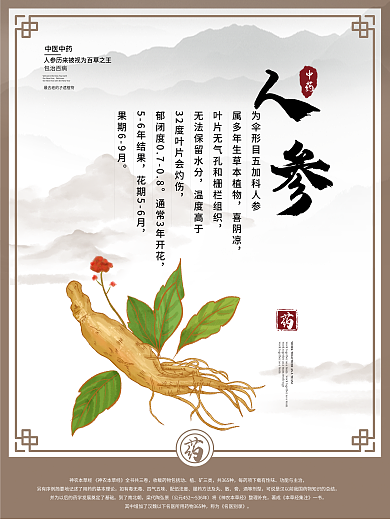 中国风中医人参石斛枸杞枇杷宣传海报